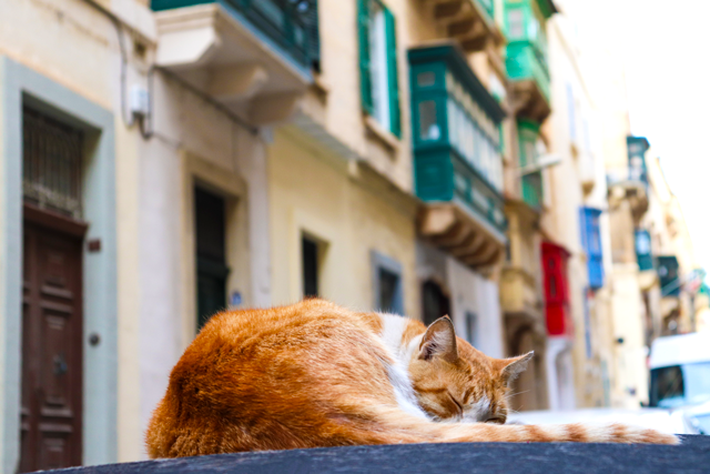 Malta